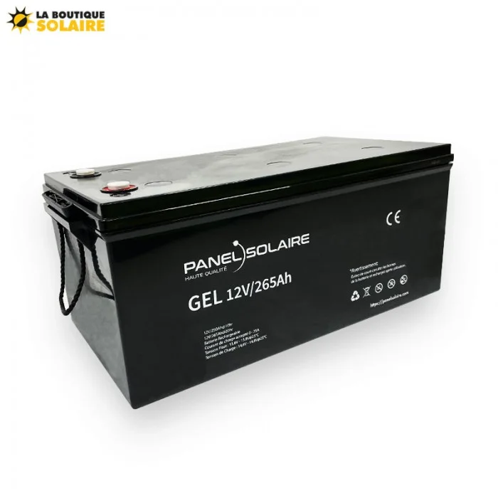 Batterie solaire LEOCH GEL 12v - Energy Market